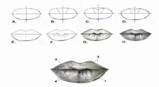 Карандаш для губ. Рисование губ карандашом. Рисование губ человека. Пошаговый рисунок губ.