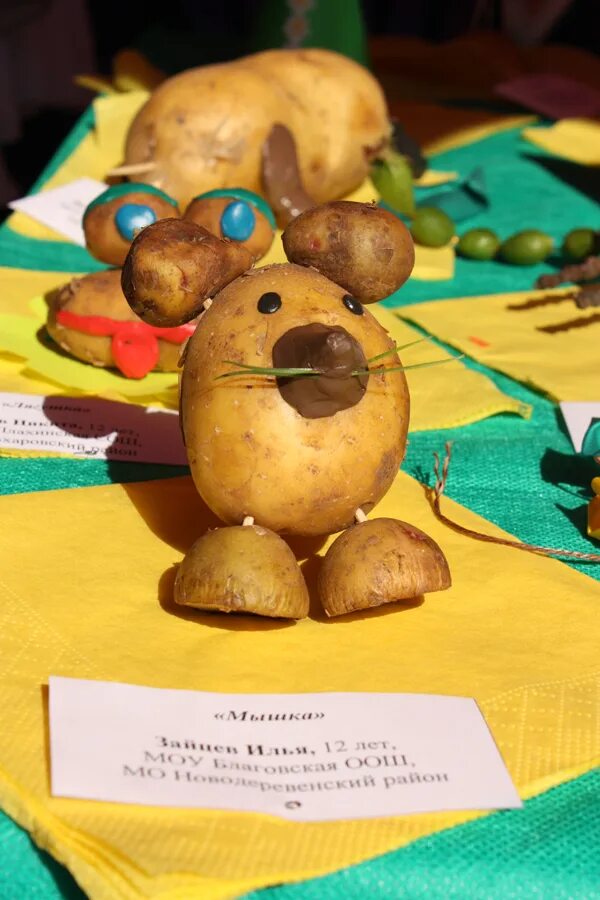 День картошки. Всемирный день картошки. День картошки праздник. Фестиваль картошки. Когда день картошки