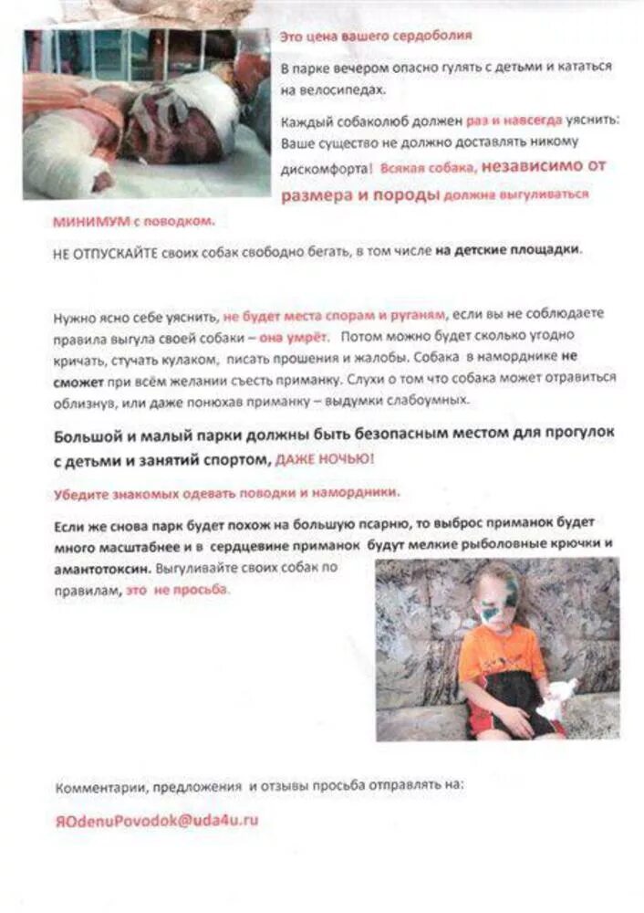 Ответ администрации на жалобу. Жалобы соседей на лай собаки в квартире. Ответ на заявление в прокуратуру. Куда пожаловаться на собак. Если у соседей лакт солака.