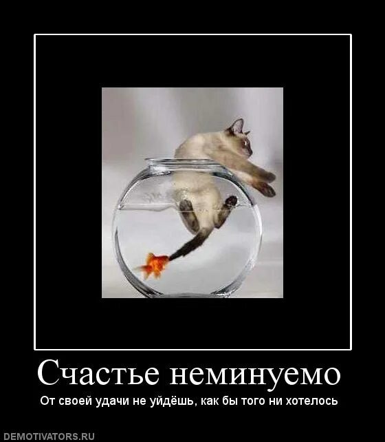 Удача демотиватор. Удача для неудачников. Удача ушла. Фразы про удачу и везение. Девушка идет по дороге.