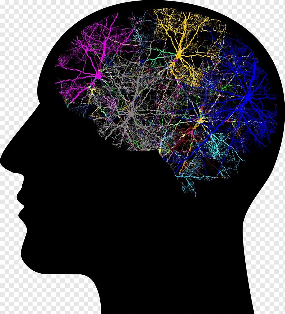 Представил в голове. Нейроны в голове. Сознание и мозг. Мозг мышление.
