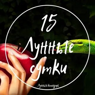 15 октября какой лунный день