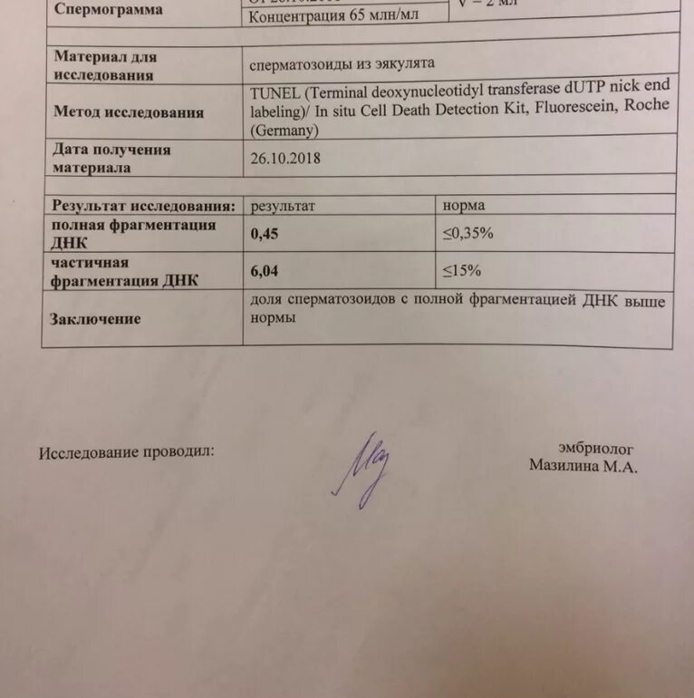 Сдать фрагментацию днк спермограммы. Результаты фрагментации днк спермограммы. днк фрагментация спермограмма норма. фрагментация днк сперматозоидов норма. спермограмма заключение.