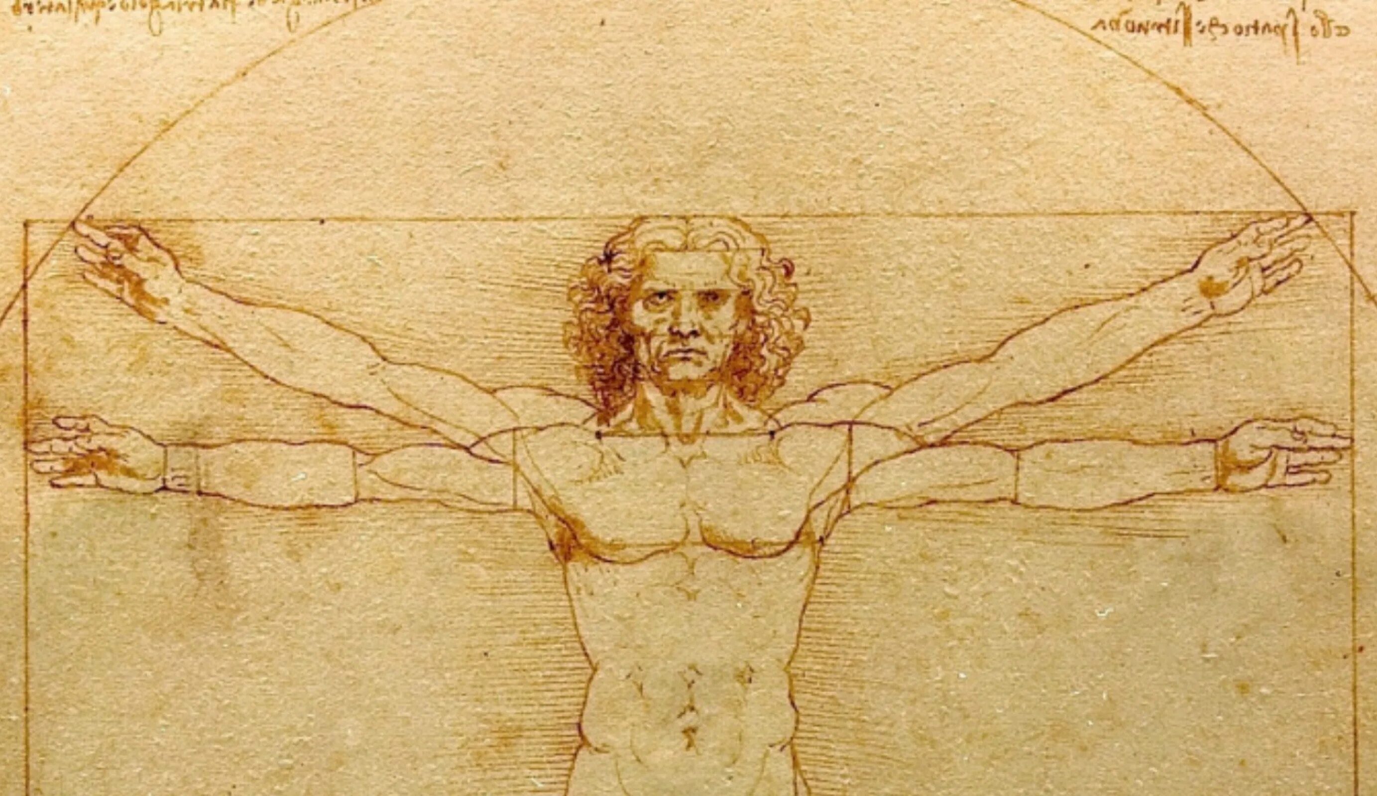 Да Винчи человек Витрувианский. Vitruvian man Леонардо да Винчи. Рисунок Леонардо да Винчи Витрувианский человек. Картина идеальный человек Леонардо да Винчи. Тело возрождение