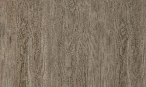 Wood 6