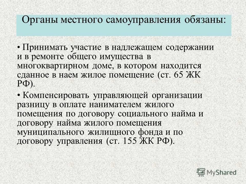 Расходные обязательства органов местного самоуправления