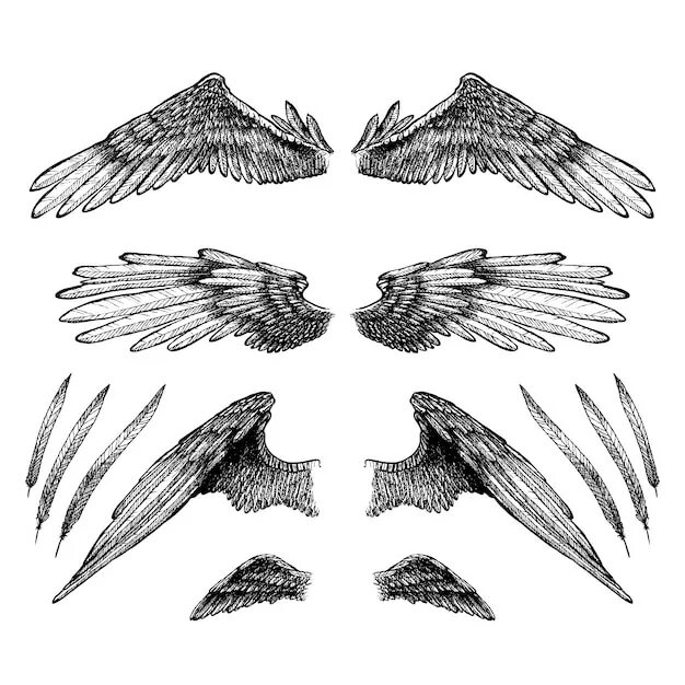 Save wings
