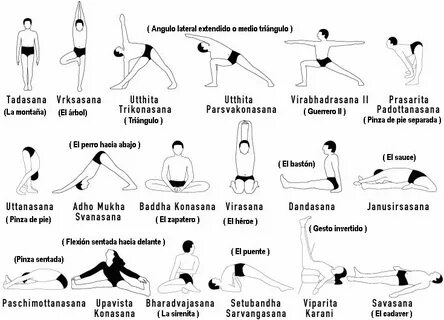 Упражнения для начинающих в картинках