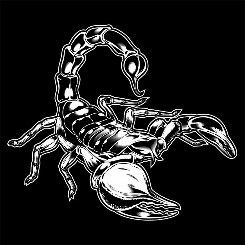 Скорпион. Скорпион вектор. Скорпион вектор. Скорпион. Скорпион векторный рисунок.
