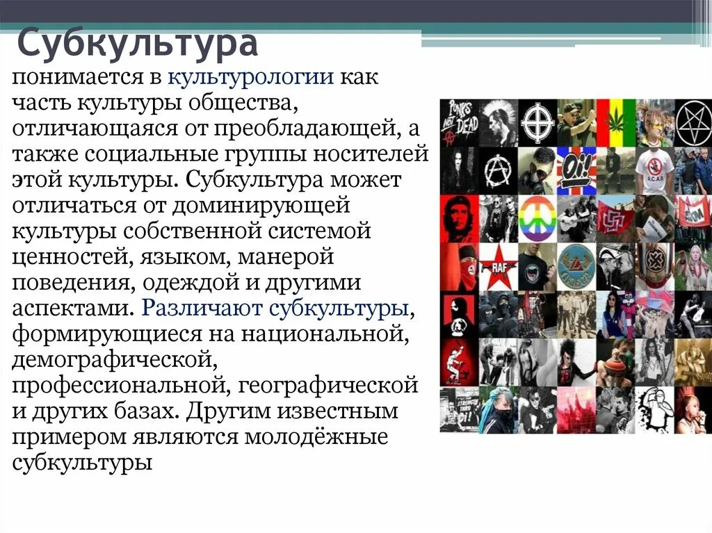 Влияние субкультур на общество. Молодежные субкультуры. Профессиональная субкультура. Современные субкультуры молодежи. Национальная субкультура.