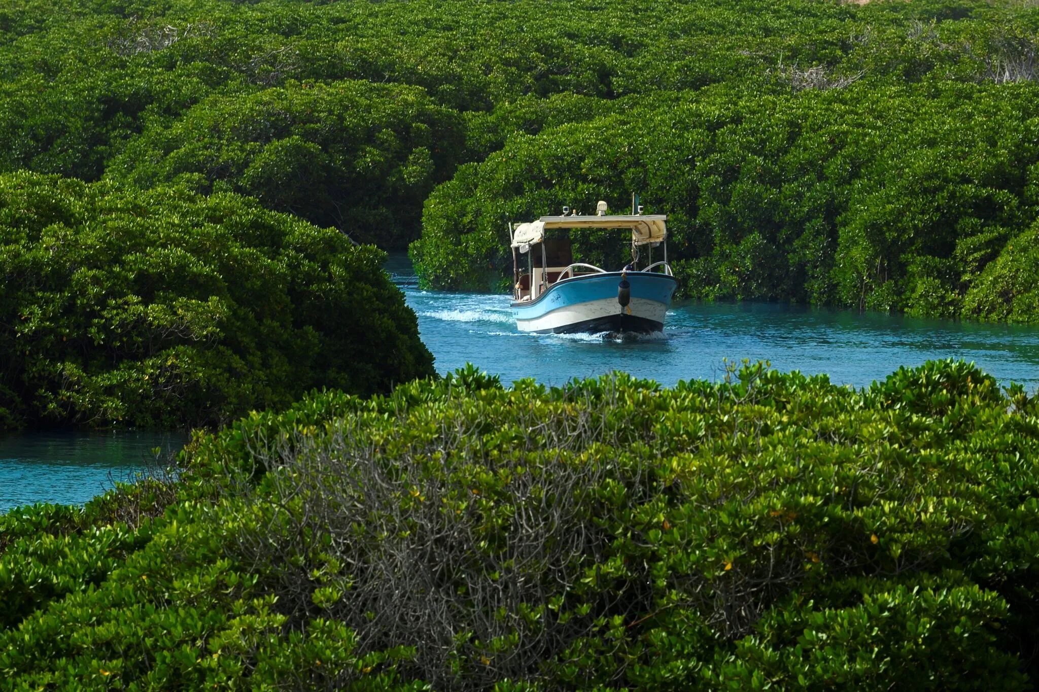 Island setting. Остров Фарасан. Национальный парк архипелага Фарасан. Острова Фарасан красного моря. Острова Set.