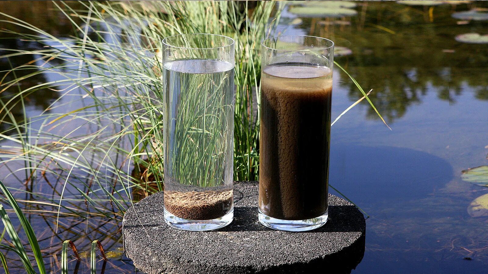 Взвесь в стакане воды. Отстаивание воды. Отстаивание для очистки воды. Способы очистки воды отстаивание. Фильтрация грязной воды.