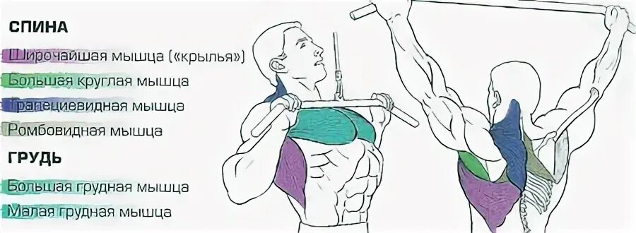 Вертикальная тяга техника выполнения