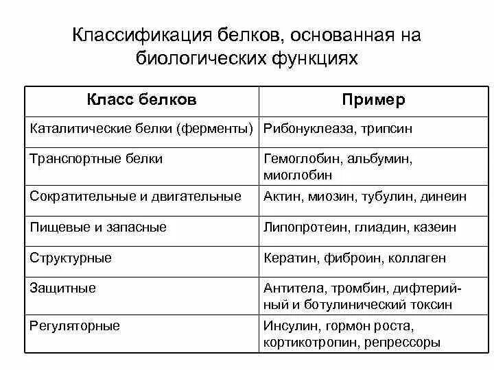 Классификация белков по функциям. Классификация белков по биологическим функциям. Белки ферменты примеры. Белковые ферменты и их функции.