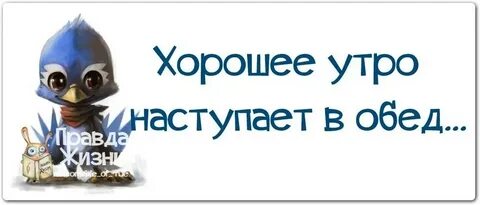 Наступило утро поднялось солнце