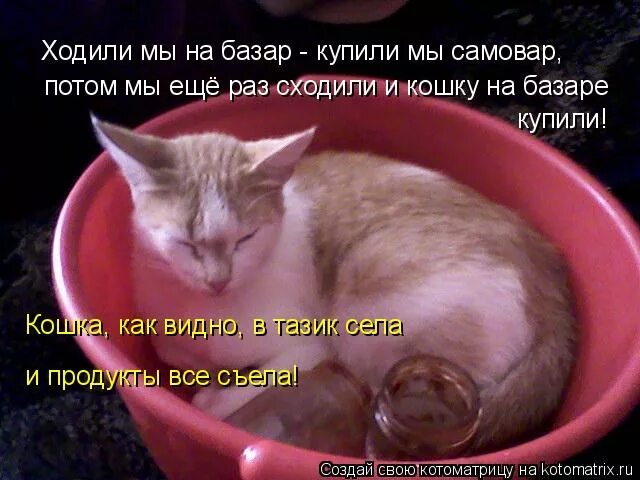 иди на базар. люди ходят на базар там дешевле весь. пальчиковая гимнастика фрукты. продавцы на рынке иллюстрация. как осел ляпа на базар ходил.
