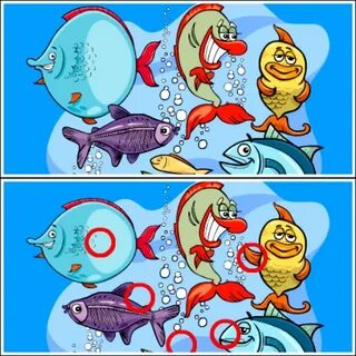 Найди отличия море