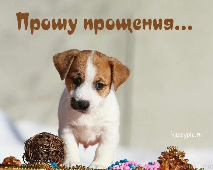 Картинки проси