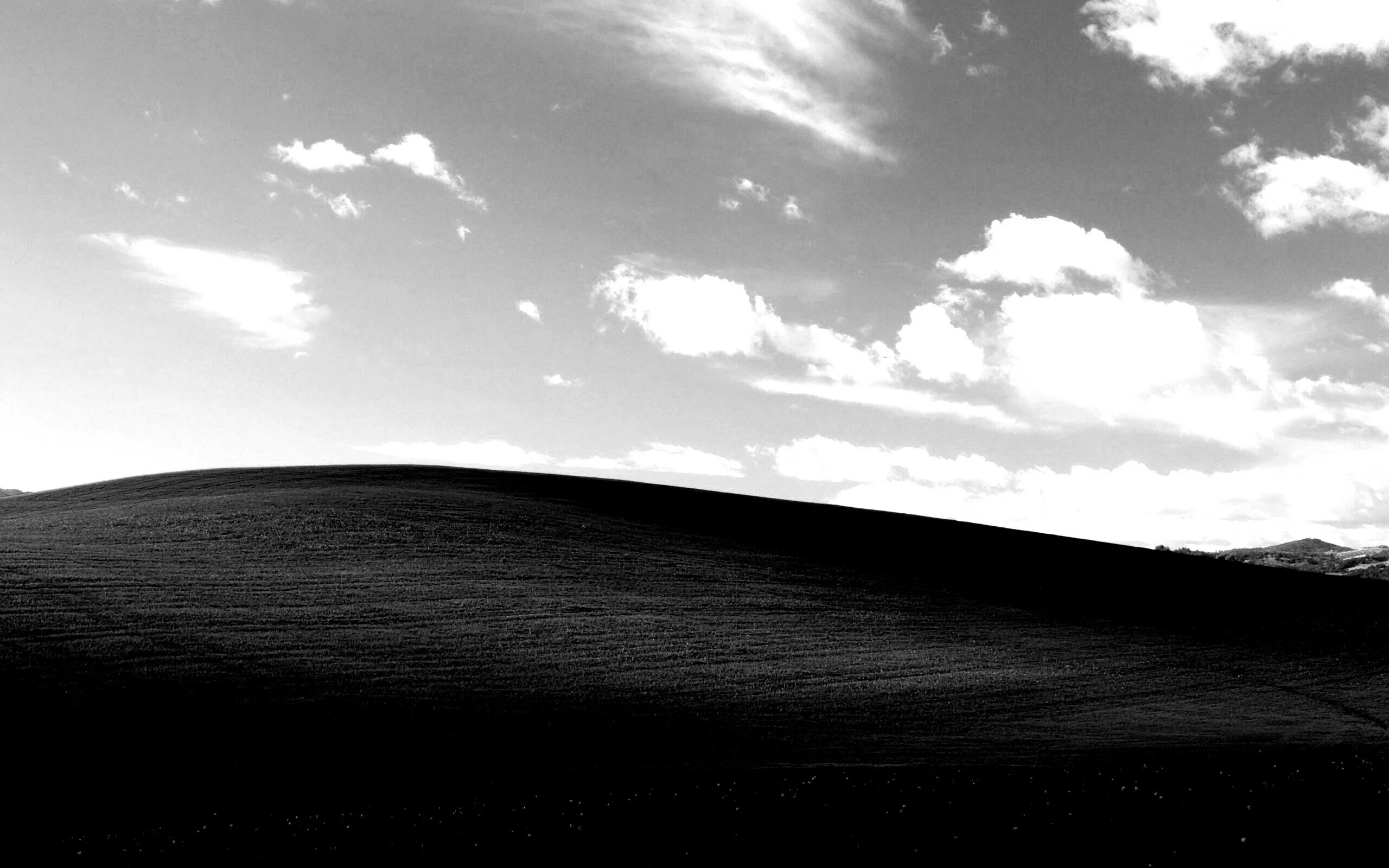 Серый цвет без оттенков. Серые розы. Белый фон. Стандартные обои. Как выглядит темно белый.