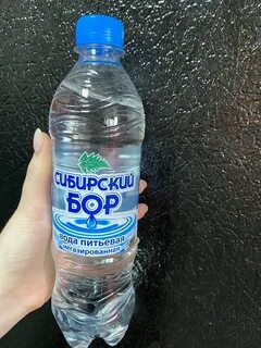 Сибирский бор
