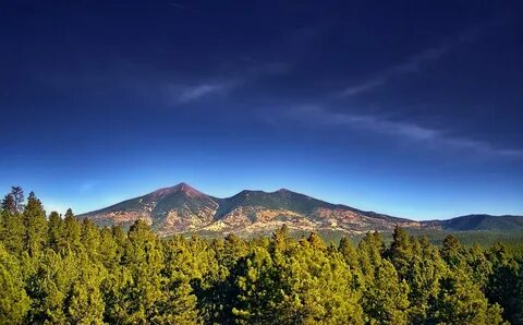 Mount r