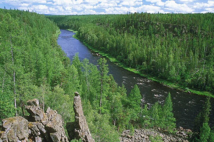 Река Подкаменная Тунгуска Красноярский край. Реки Красноярск Подкаменная Тунгуска. Нижняя Тунгуска река. Бассейн реки Подкаменная Тунгуска. Приток подкаменной