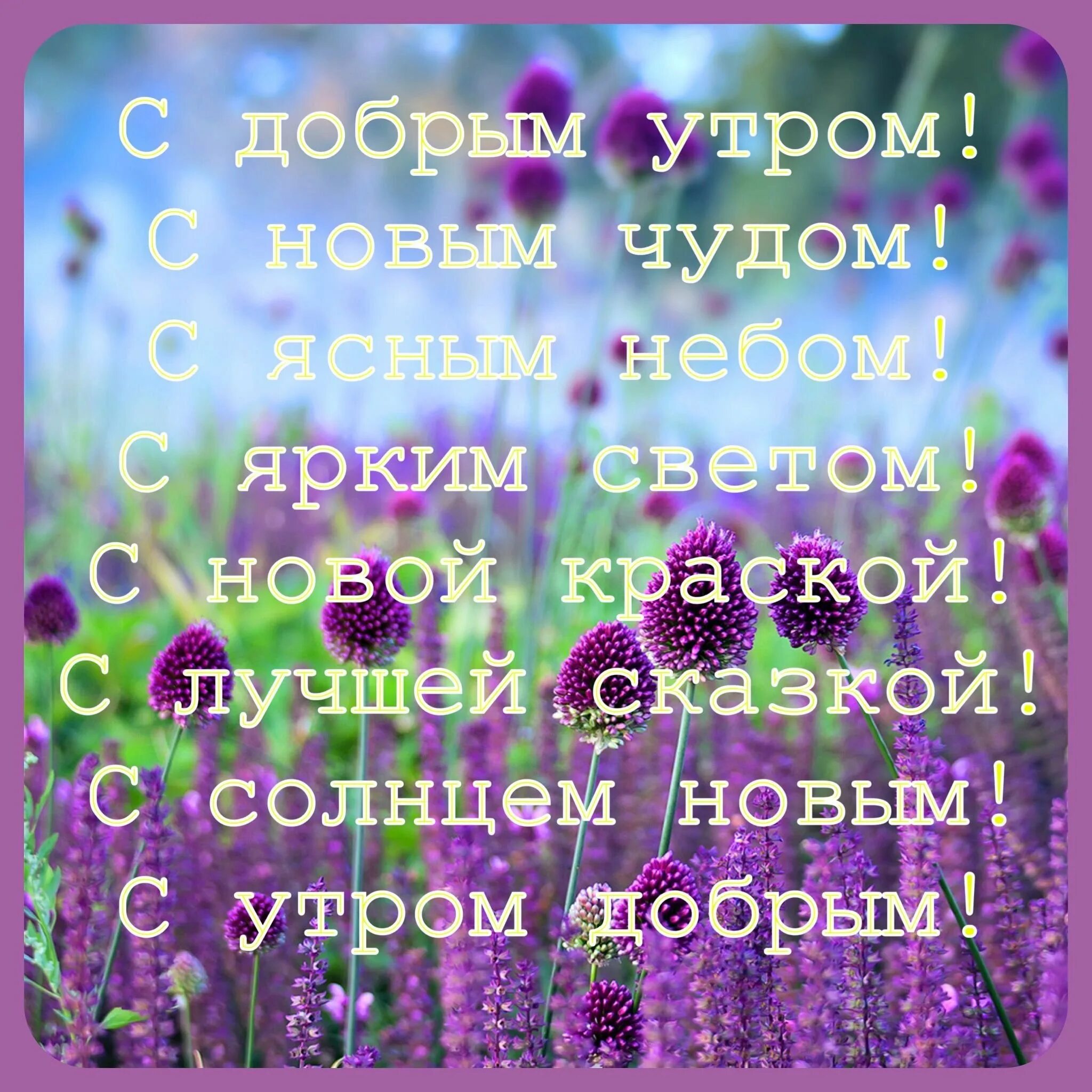 Пожелание доброго утра с высказываниями. Мудрые пожелания с добрым утром. Душевные пожелания с добрым утром. Слова с добрым утром с пожеланиями. Пожелания с добрым утром со смыслом.