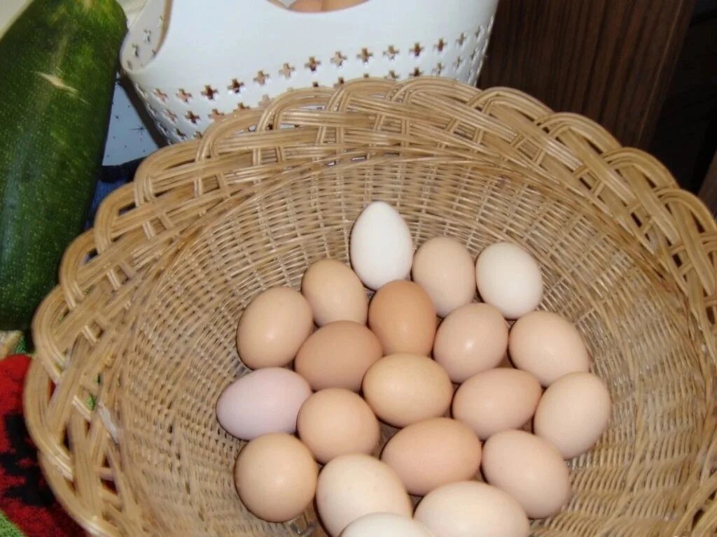 Домашние яйца. Яйцо молодой курочки. Яйца Кировский. Яйца домашние фото. Кремовые яйца