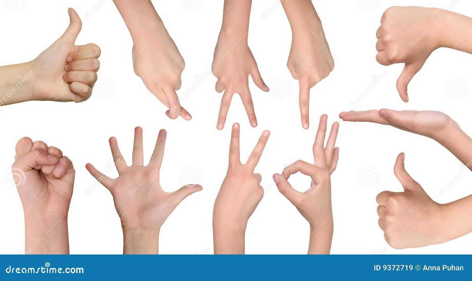 Hand form