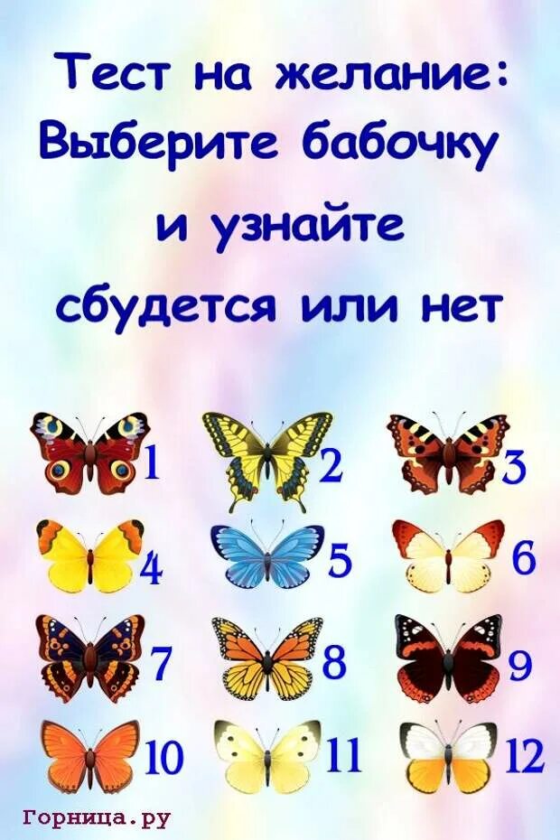 Тест найти бабочку. Тест картинка. психологические тесты. тесты психологические на желания. интересные тесты в картинках.