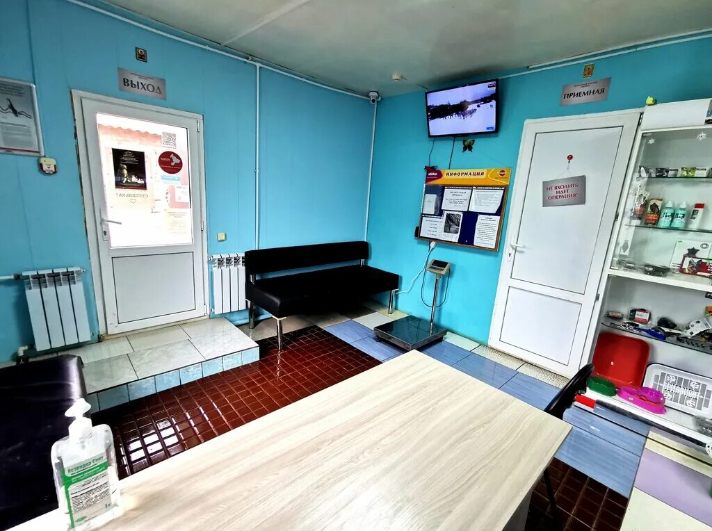 багира таганрог ветклиника. ветеринарная клиника черемхово.