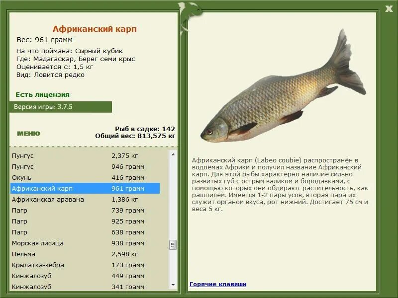 Таблица нормального веса для мужчин по росту и возрасту. Какого веса достигают. Какого веса достигают. Степени ожирения у мужчин таблица по индексу массы. Соотношение роста и веса человека в зависимости от возраста таблица.