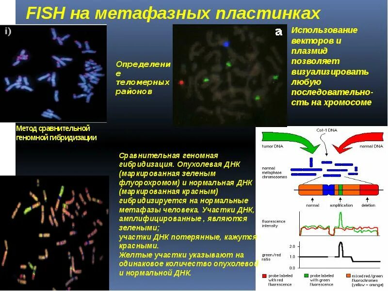 Метод сравнительной геномной гибридизации. Сравнительная геномная гибридизация CGH. Метод сравнительной геномной гибридизации на микрочипах. Сравнительная геномная гибридизация суть метода.