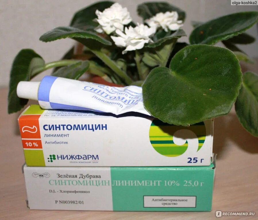 Синтомицин от прыщей. Синтомицин мазь от прыщей. синтомицин линимент от прыщей. синтомицин от подкожных прыщей. мазь от прыщей синтамец.