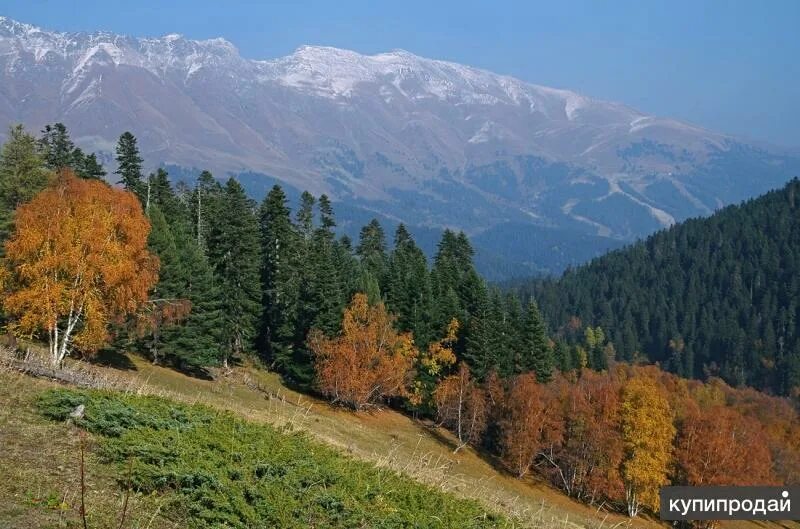 Фото: В Архызе осень. Владимир Мигузов. Пейзаж. Фотосайт Расфокус.ру