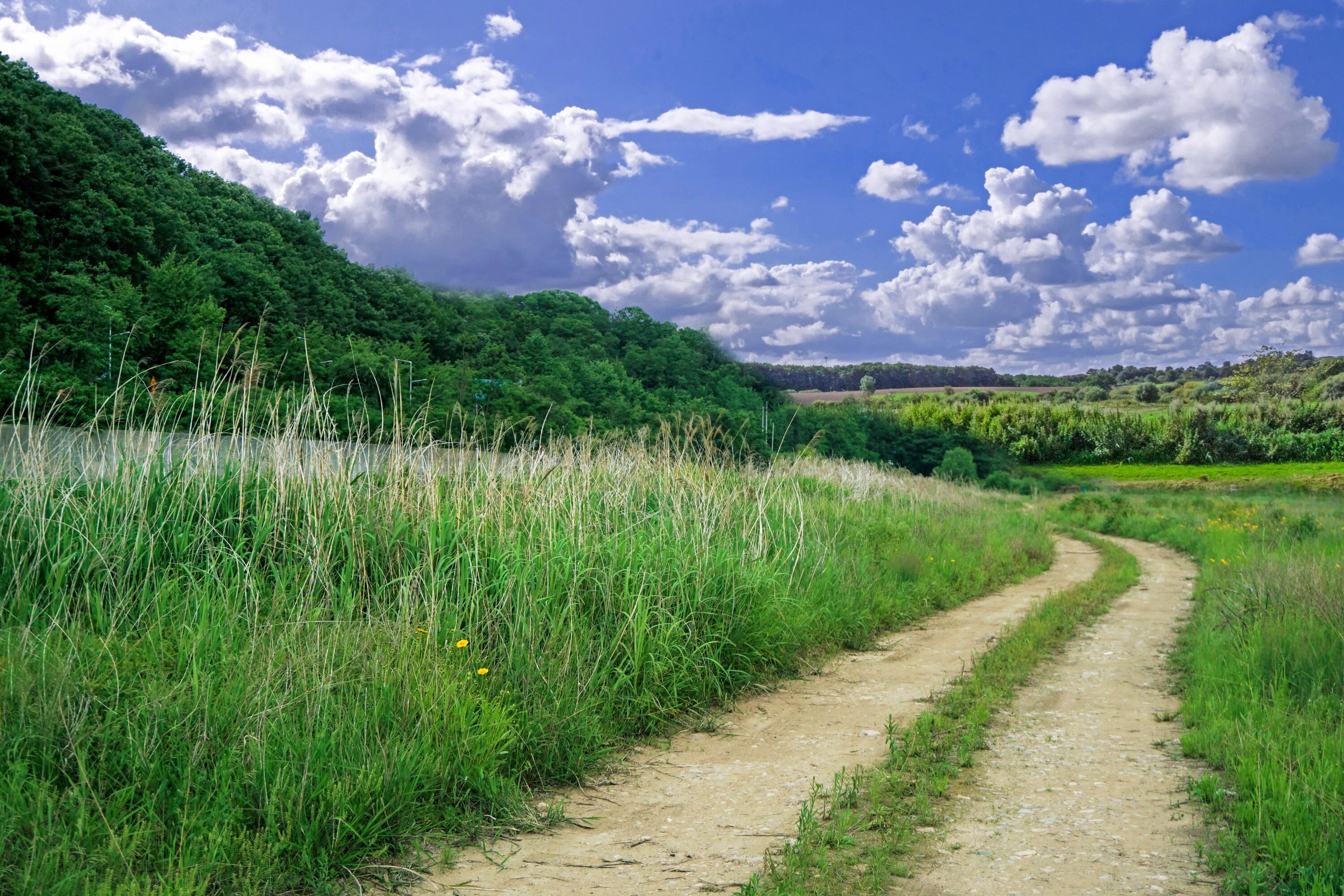 Decided to the countryside. Сельская Проселочная дорога. Просёлочная тропа. Тропинка в поле. Природа.