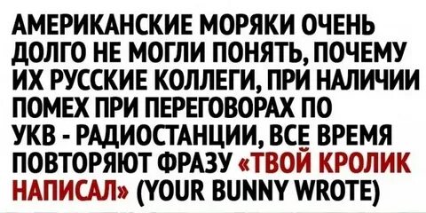 You bunny wrote