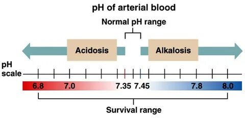 Acidosis тэ