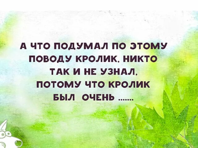 Кто-то слишком много ест винни. Потому что он был очень воспитанный. Что подумал кролик никто не узнал потому что он был очень воспитанный. Потому что кролик был очень воспитанный. Кролик высказывания.