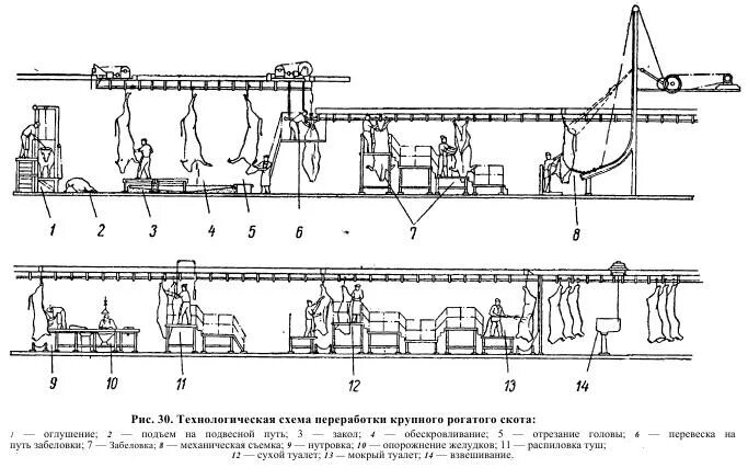 Описание технологического процесса убоя мрс схема Схема убоя мрс