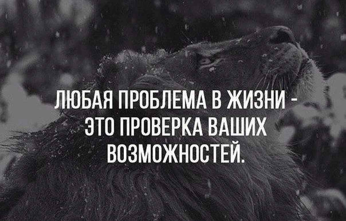 Афоризмы про трудности в жизни. Цитаты про проблемы. Цитаты про трудности в жизни. Статусы про трудности.