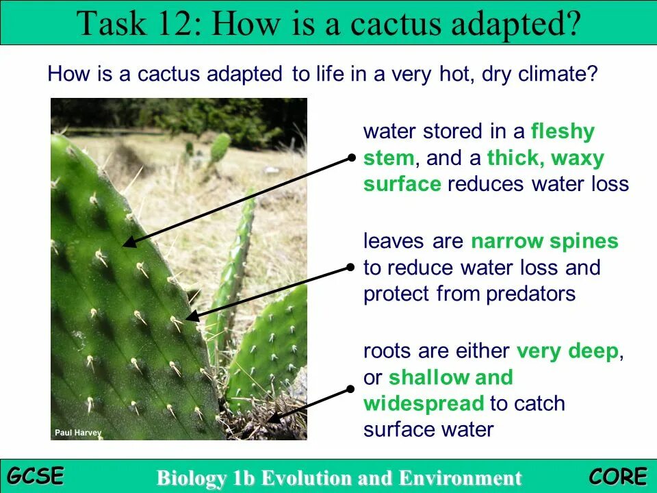 Task 12