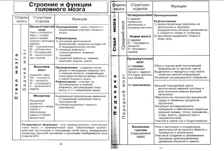 Функции мозга человека таблица. Функции отделов головного мозга таблица. Таблица отделы головного мозга и их функции и строение. Строение и функции головного мозга таблица отделы головного мозга. Функции мозга человека таблица.