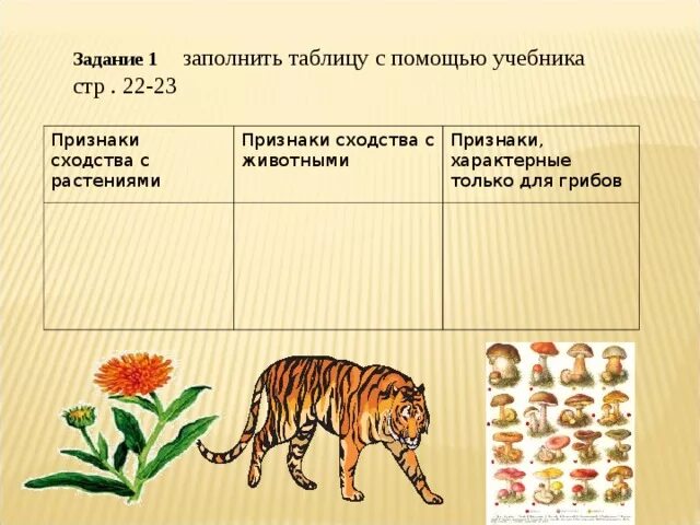 Признаки грибов характерные для животных. Признаки характерные только для грибов. Признаки сходства с признаки сходства с растениями животными. Сходство грибов и животных. Грибы имеют признаки животных