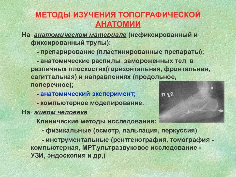 Методики изучения человека. Методы изучения топографической анатомии. Методы исследования топографической анатомии и оперативной хирургии. Основные методы исследования в анатомии. Методы изучения топографической анатомии на живом человеке.