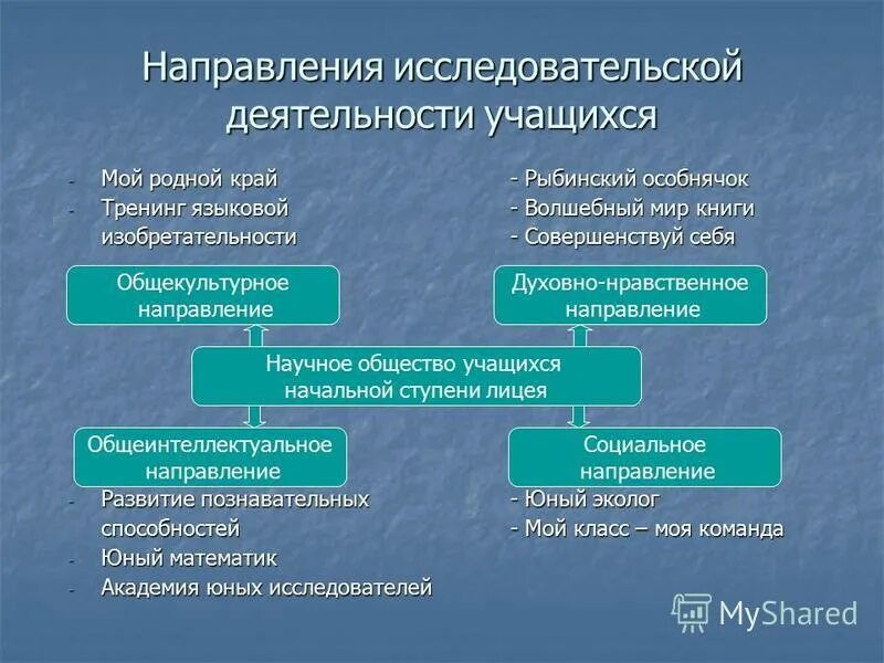 Направления исследовательских работ. Направление исследовательской работы в школе. Научно исследовательская работа основные направления. Направления научно-исследовательской деятельности в школе. Организация исследовательской деятельности в образовании