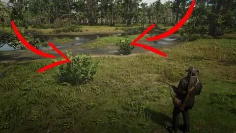 Rdr 2 цапля