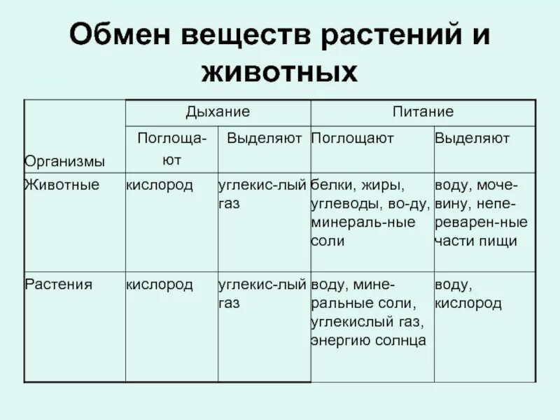 Запишите что происходит при пластическом