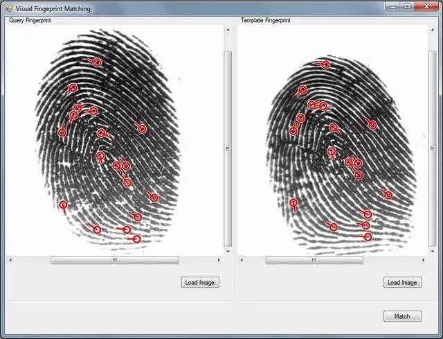 Sectionname ru настройки отпечатков профилей en fingerprints. Сравнение отпечатков. Сравнение отпечатков пальцев. Корреляционное сравнение отпечатков пальцев. Совпадение отпечатков.