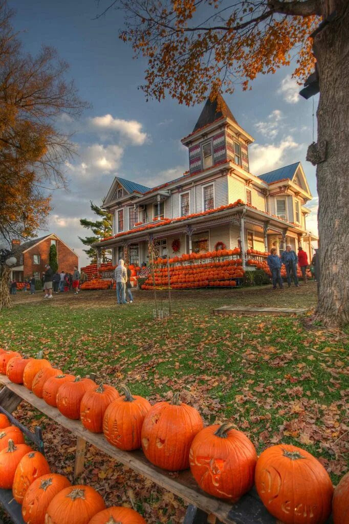 Дом из необычных материалов. Домик из овощей. Дом из необычных материалов. Необычные домики. Домик тыквы.